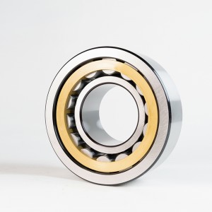 Single Row Cylindrical Roller Bearings